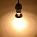 E27 Reptile Heat Bulb Infrared Heating Light Bulbs 25/50/75/100W UV Tortoise Turtle Light Beneficial UVA Basking Lamp Heat Bulb(25W Green) 25w Green - Buy Online on GoSupps.com
