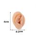 Ear Model A Pair - Professional Simulated Ear Template Imitation Soft Soft Silicone Soft Ear Display Products Actual Ear Mold Sample - Buy Online on GoSupps.com