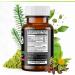 XTF Focus & Energy Pills - Nootropic Brain Booster with Huperzine Acetyl-L-Carnitine Rhodiola Guarana & Caffeine | Energy & Focus Supplement for Peak Performance - Buy Online on GoSupps.com