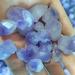 Natural Quartz Crystal 100g Natural Stones and Minerals Amethyst Cluster Quartz Crystals feng Shui bonsais naturales Modern Home Decor Home Office Decor JIZTGEDM - Buy Online on GoSupps.com