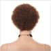 Buy BGHJUE African Wig - Short Roll Synthetic Lace Front Wigs for Black Women | Heat Resistant Soft Hair - International Shipping Available - Buy Online on GoSupps.com