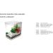 biOrb Easy Plant Sets Medium - Purple/Green | Vibrant Artificial Plants for Aquariums - Buy Online on GoSupps.com