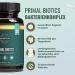 Primal Harvest Biotics 2 Pack - 60 Capsules with 15 Strains & 80 Billion KBE - Probiotic with Inulin & Living Cultures - Stomach Resistant - Buy Online on GoSupps.com
