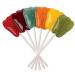 Dr. John's Healthy Sweets Sugar Free Classic Fruit Lollipops - 60 Count, 1 LB Pack - Buy Online on GoSupps.com