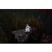 Buy Seliger Spring Stone Quellstar 600 LED Light Unit - White | International Shipping Available - Buy Online on GoSupps.com