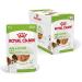 ROYAL CANIN X-Small Adult | 12 x 85 g | Wet Food for Adult and Especially Small Dogs | From 10 Months | With Appetizers in Sauce | In Pouch Bag