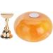 Nail Art Stand Painting Nail Art Tip Holders Magnetic Golden Base for Nails Practice DIY Painting Nails Stand Kit(Chrysophoron) - Buy Online on GoSupps.com