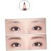 BIUDECO 2pcs Eyebrow Pencils Eyebrow Pencil Brush Double Head Eyebrow Pencil - Buy Online on GoSupps.com
