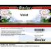 Bianca Rosa Violet - Salve Ointment (2 oz ZIN: 428621) - 3 Pack - Buy Online on GoSupps.com