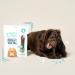 Buy Edgard & Cooper 56 Dental Sticks for Medium Dogs | Natural Eucalyptus & Apple Snacks | Fresh Breath Low Calories | 8-Pack - Buy Online on GoSupps.com