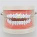 Fopytu Punk Cross Tooth Grill Cap - Gold Teeth Grills for Halloween Party & Cosplay Accessories - International Shipping Available - Buy Online on GoSupps.com