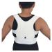 Back Support Back Brace Lumbar Support Posture Corrector Orthopedic Corset Back Waist Support with Shoulder Brace Spinal Back Support Belt(White X-Large) X-Large White