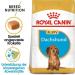 Royal Canin Dog Food Dachshund Puppy Dry Mix 1.5kg - Buy Online on GoSupps.com