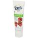 Tom's of Maine Natural Anticavity Fluoride Children's Toothpaste - Silly Strawberry 4.2 oz (2 Count) | Buy Online Ships Internationally - Buy Online on GoSupps.com