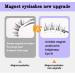 Onewly Magnetic Eyelashes 2 Pairs Reusable Magnetic Eyelash Kit Each Eyelash Has 5 Layers of Magnetism Dual Magnetic Lashes Magnetic Eyelashes Natural Look - Buy Online on GoSupps.com