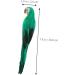 TOYANDONA 5pcs Ornament Bird Artificial Vivid Feathered Green Statue for Supply Figure Home Lifelike 20x5cmx5pcs Greenx5pcs - Buy Online on GoSupps.com