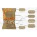 Cambrook Mix 11 | Salted Mixed Nuts 1 kg Bag - Premium Quality Gluten Free Vegan Nuts - Buy Online on GoSupps.com
