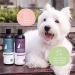 Kin+Kind Natural Itchy Pet Shampoo for Dogs & Cats - Rosemary Peppermint 12 fl oz - Buy Online on GoSupps.com