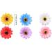 Colorful Nifocc Flower Hair Clips - Sunflower Hair Pins for Women & Girls | 12-Piece Set for Beach Party & Wedding Decor - Buy Online on GoSupps.com