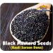Rani Black Mustard Seeds (Kali Rai) 3.5oz - Indian Origin, All Natural, Gluten Friendly, NON-GMO, Vegan | Whole Spice Seeds - 3.5 Ounce Bag - Buy Online on GoSupps.com