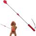 Poteau de flirt pour chiens jouet interactif de b ton de flirt pour animaux de compagnie bauette extensible quipement de flirt multifonctionnel pour animaux de compagnie fournitures pour animau - Buy Online on GoSupps.com