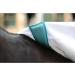 Weatherbeeta Sweet Itch Shield Combo Neck Fly Rug 7ft - White & Blue | Best Protection for Horses | International Shipping Available - Buy Online on GoSupps.com