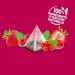 Elephant Infusion Aromatis e Go t Fruits Rouges & Touche de Menthe Certifi Rainforest Alliance Ingr dients d'Origine 100% Naturelle 240 Sachets Pyramid - Buy Online on GoSupps.com