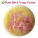 100% Natural Herbacous Peony Tea - Anti-Aging & Freckles Removal | Pink Peony Bud Flower Tea 30g - Buy Online on GoSupps.com