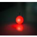 LED Light Trailers for Dogs & Cats | Luminous Red Dog Collars - One Size Fits All - Buy Online on GoSupps.com