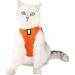 Buy Cat Harness & Leash Set | Cat Dishes for Small Cats | Outdoor Walking Accessories - Buy Online on GoSupps.com