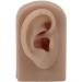 Flexible Brown Right Ear Model for Earrings Display and Acupuncture Training - Buy Online on GoSupps.com