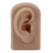 Silicone Right Ear Model for Piercing Training and Earrings Display (Brown) | Soft & Flexible Reusable Human Ear - Buy Online on GoSupps.com