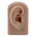 Flexible Reusable Simulated Human Ear Model - Right Ear for Earrings Display & Acupuncture Training (Brown) - Buy Online on GoSupps.com