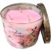 Buy Bath & Body Works Gingham Gorgeous 3-Wick Candle - New 2023 Scent | International Shipping Available - Buy Online on GoSupps.com