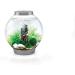 Biorb 78134 Fairytales Decor Set - Realistic Artificial Aquatic Plants Roots & Stones for Freshwater & Saltwater Aquariums | 15L Aquarium Design - Buy Online on GoSupps.com