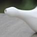 White Ceramic Neti Pot for Nasal Cleansing + 5 Sachet Neti Salt - Dishwasher Safe - Buy Online on GoSupps.com