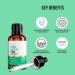DX Men & Women Serum with Kesar & Kojic Acid | for Pigtation and Dark Spots | & - 30ml - Buy Online on GoSupps.com