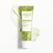 Pistach Skincare Mini Collection - Pistachio Oil Body Butter Hand Cream Eye Cream & Face Moisturizer - Hydrating Travel Set with Vitamin E & Antioxidants - Buy Online on GoSupps.com