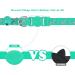 Shop Tagme Cat Neck Band - 2-Pack Reflective Collars with Safety Lock & Bell - Custom Name & Address Shield for Cats & Puppies - Turquoise 18-28 cm - Buy Online on GoSupps.com