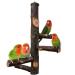 Qeeheng bird stand natural wood parrot rod bird cage pencil rods for parrots small parlor nymphensittish aras parrots love birds finchen dendritic