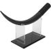 Sophisticated False Eyelash Model Adornments Adhesives Display Holder Shop Utensils Enhancers Primers Lash Bling for Lash Boutique Decor - Buy Online on GoSupps.com