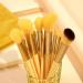 13 Piece Makeup Brush Set Yellow - Buy Online on GoSupps.com