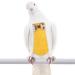 Conlense Reusable Bird Diapers - Parrot Flight Suits, Pet Bird Clothes, Pigeon Row Wear (Yellow M) - Buy Online on GoSupps.com