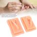 Acupuncture Ear Model for Practice | 2-Piece Set | Smooth Texture | Ideal for Students - Buy Online on GoSupps.com
