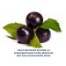 Ageless Beauty Instant Face Lift with Hyaluronic Acid, Acai Extract, Argireline, Matrixyl 3000 - Reduces Eye Bags, Wrinkles, Lines, Puffiness | Tighten Skin Instantly - 10mL, 2 Vials - Buy Online on GoSupps.com