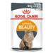 Royal Canin Hair & Skin Care In Jelly Adult Wet Cat Food 85g (Pack of 12)