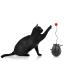 Pedono cat Ball Toy for Indoor Cats ninja black
