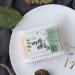 Buy Milist 200th Sterile Cotton Tip Swabs | Premium Wooden & Bamboo Q-Tips for Medical & Personal Use - Fast International Shipping - Buy Online on GoSupps.com