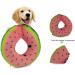 Ducomi XS Watermelon Inflatable Hinges for Dogs & Cats | Post-Operation Relaxation | Freedom of Movement & Scratch Protection - Buy Online on GoSupps.com