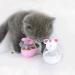 Fantasyon 2 Pcs Cat Treat Toy Feeder Toy Cat Food Ball Pet Toy Cat Slow Feeder Ball for Interactive IQ Treat Training Toy Cat Treat Ball - Buy Online on GoSupps.com